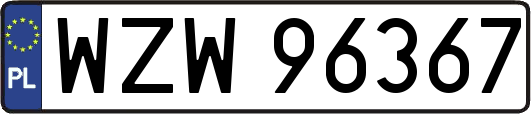 WZW96367
