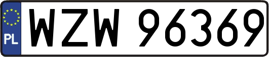 WZW96369