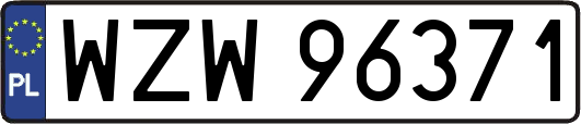 WZW96371
