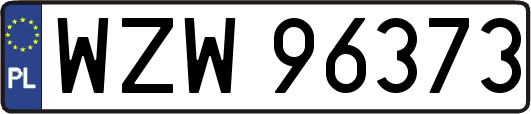 WZW96373