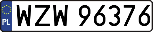 WZW96376
