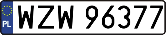 WZW96377