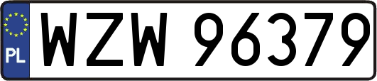 WZW96379
