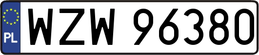 WZW96380