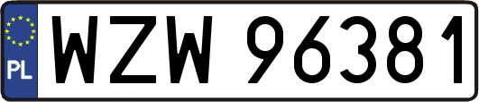 WZW96381