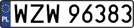 WZW96383