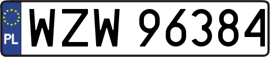 WZW96384