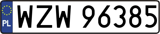 WZW96385