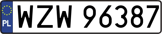 WZW96387