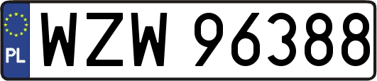 WZW96388