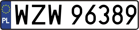 WZW96389