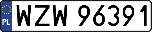 WZW96391