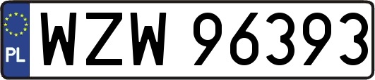 WZW96393