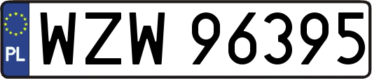 WZW96395