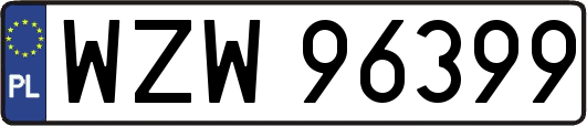 WZW96399
