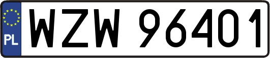 WZW96401