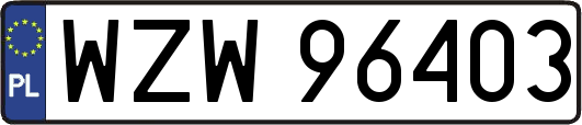 WZW96403