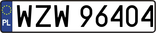 WZW96404