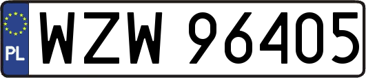 WZW96405