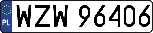 WZW96406