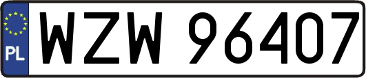 WZW96407