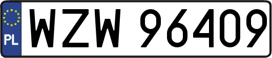 WZW96409