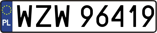 WZW96419