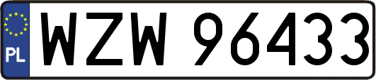 WZW96433