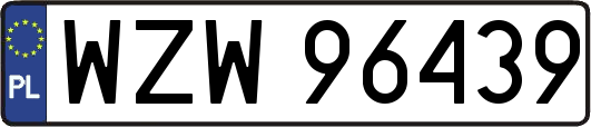 WZW96439