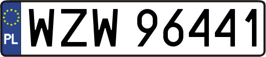 WZW96441