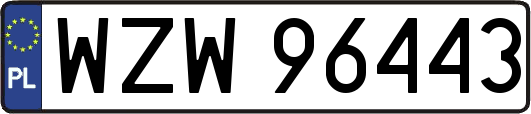WZW96443
