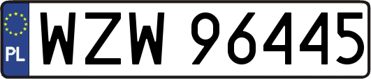 WZW96445