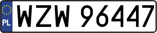 WZW96447