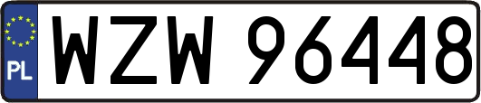 WZW96448