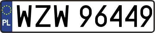 WZW96449