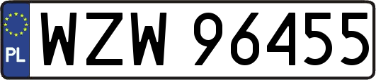 WZW96455