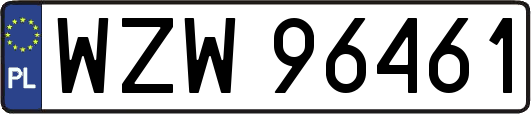 WZW96461