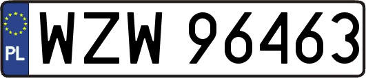 WZW96463