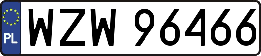 WZW96466