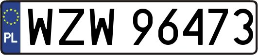 WZW96473