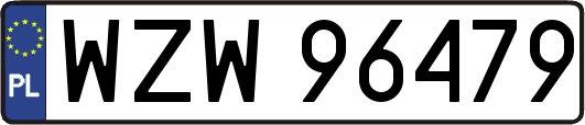 WZW96479