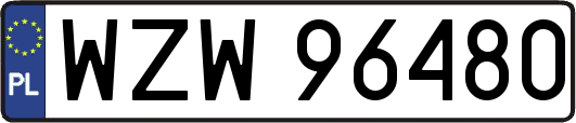 WZW96480