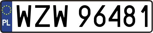 WZW96481