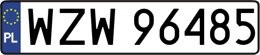WZW96485