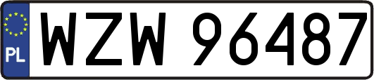 WZW96487