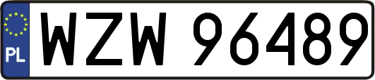 WZW96489