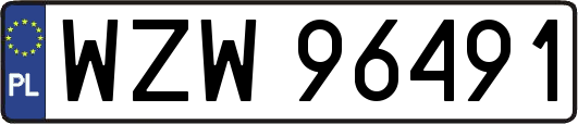WZW96491