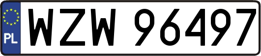 WZW96497