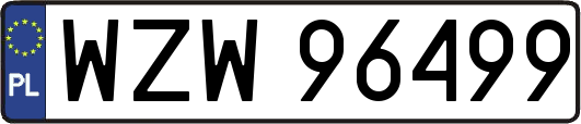 WZW96499
