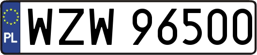 WZW96500